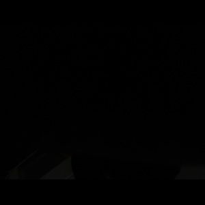 Meet your Posher, Lina